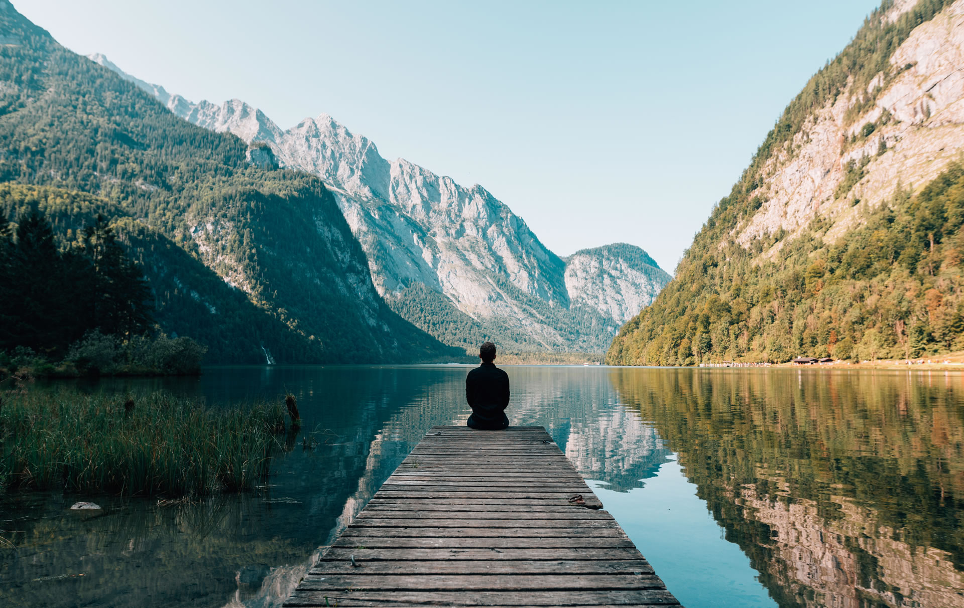 Professional Minds - Systemisches Coaching