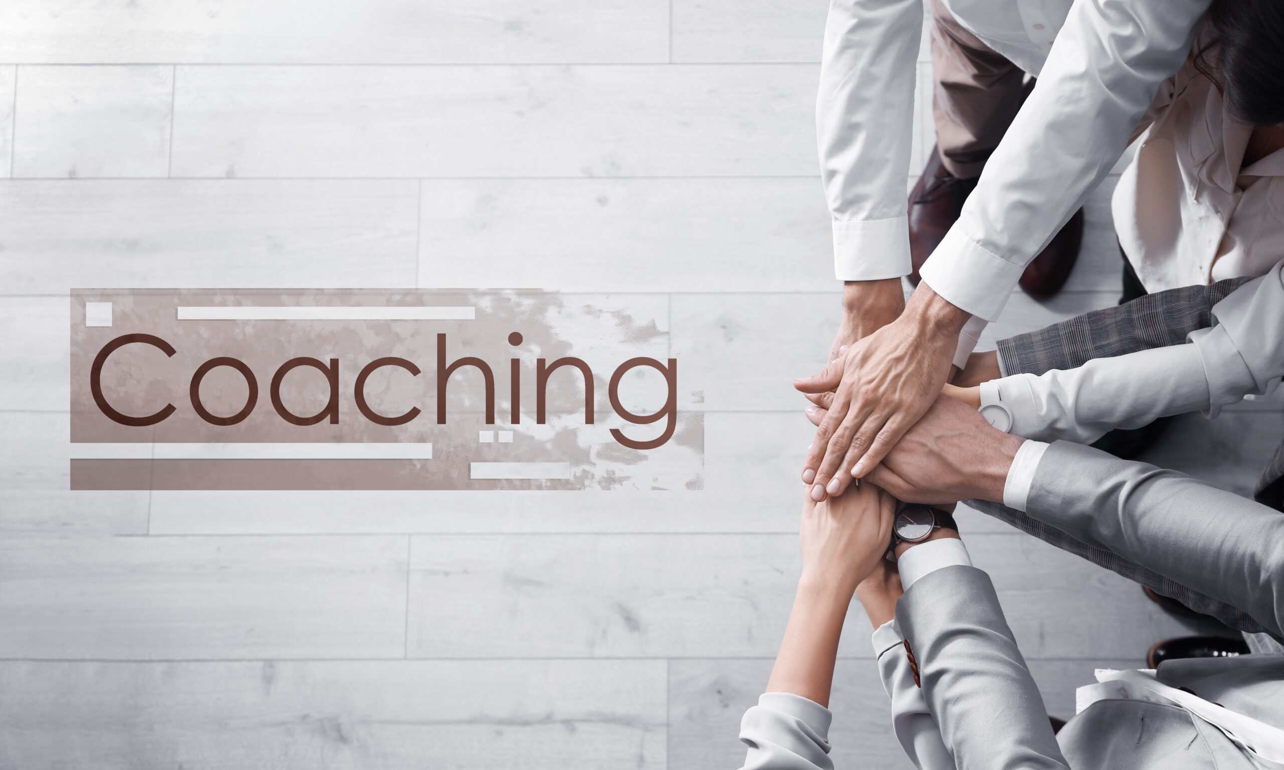 Professional Minds - Systemisches Coaching
